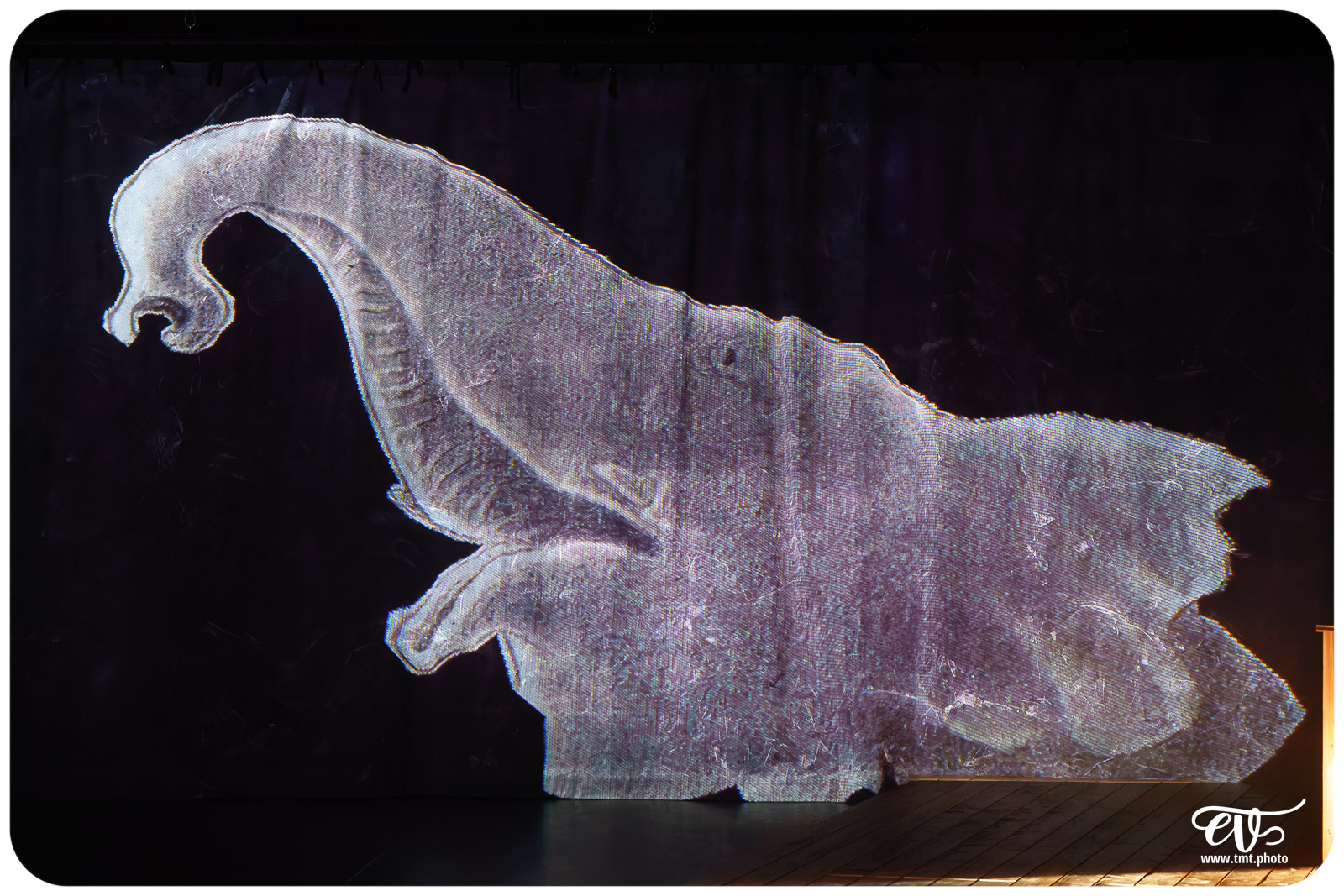 LA TRISTESSE DE L'ELEPHANT (CIE DES RIVES DE L'ILL)